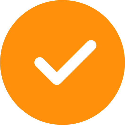 Bulletpoint check orange