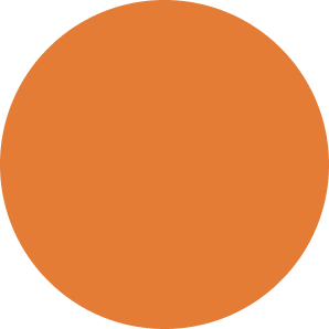Bulletpoint orange